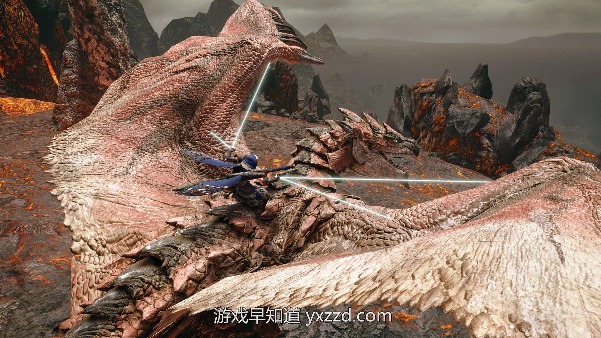 糖豆人：终极淘汰赛 完整版 截图14